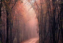 几内亚尼亚奥拉新援成功融入球队体系