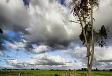 雄狮队新晋球员表现出色刷新了人们的眼球