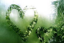 激情澎湃，女足冠军奖杯争夺战激烈开启