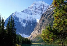 猛龙队员暂时离队处理私人问题